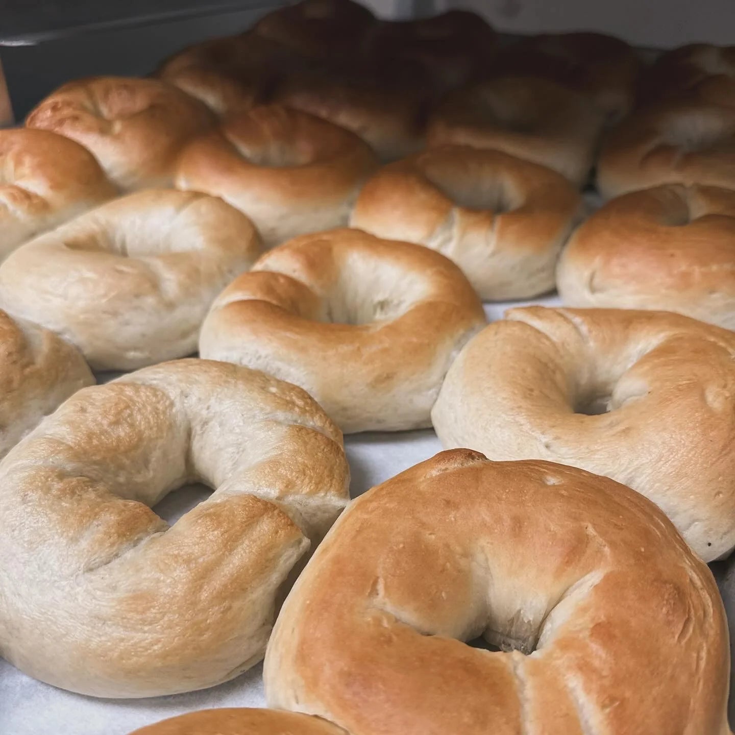 Our Style Artisan Bagels 6-packs - all flavours