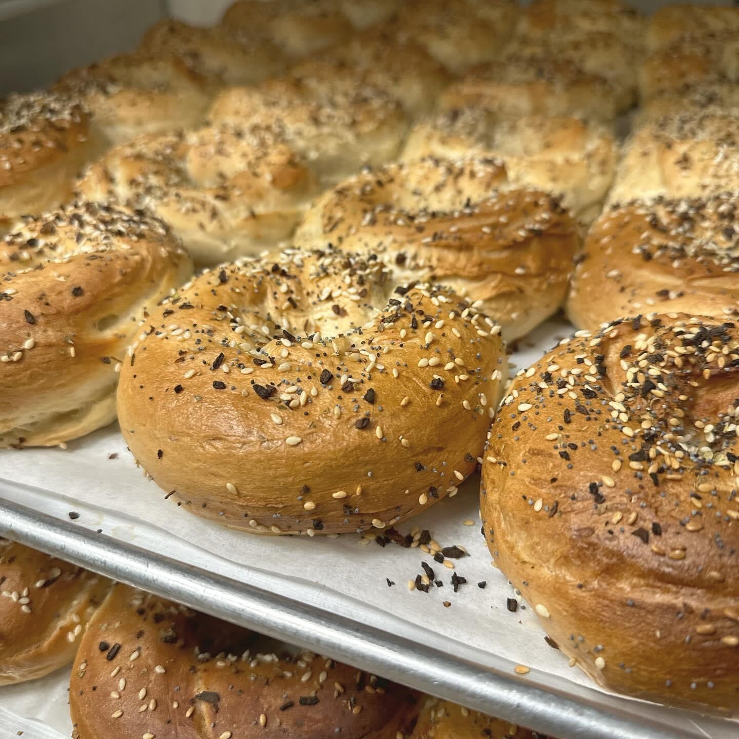 Our Style Artisan Bagels 6-packs - all flavours