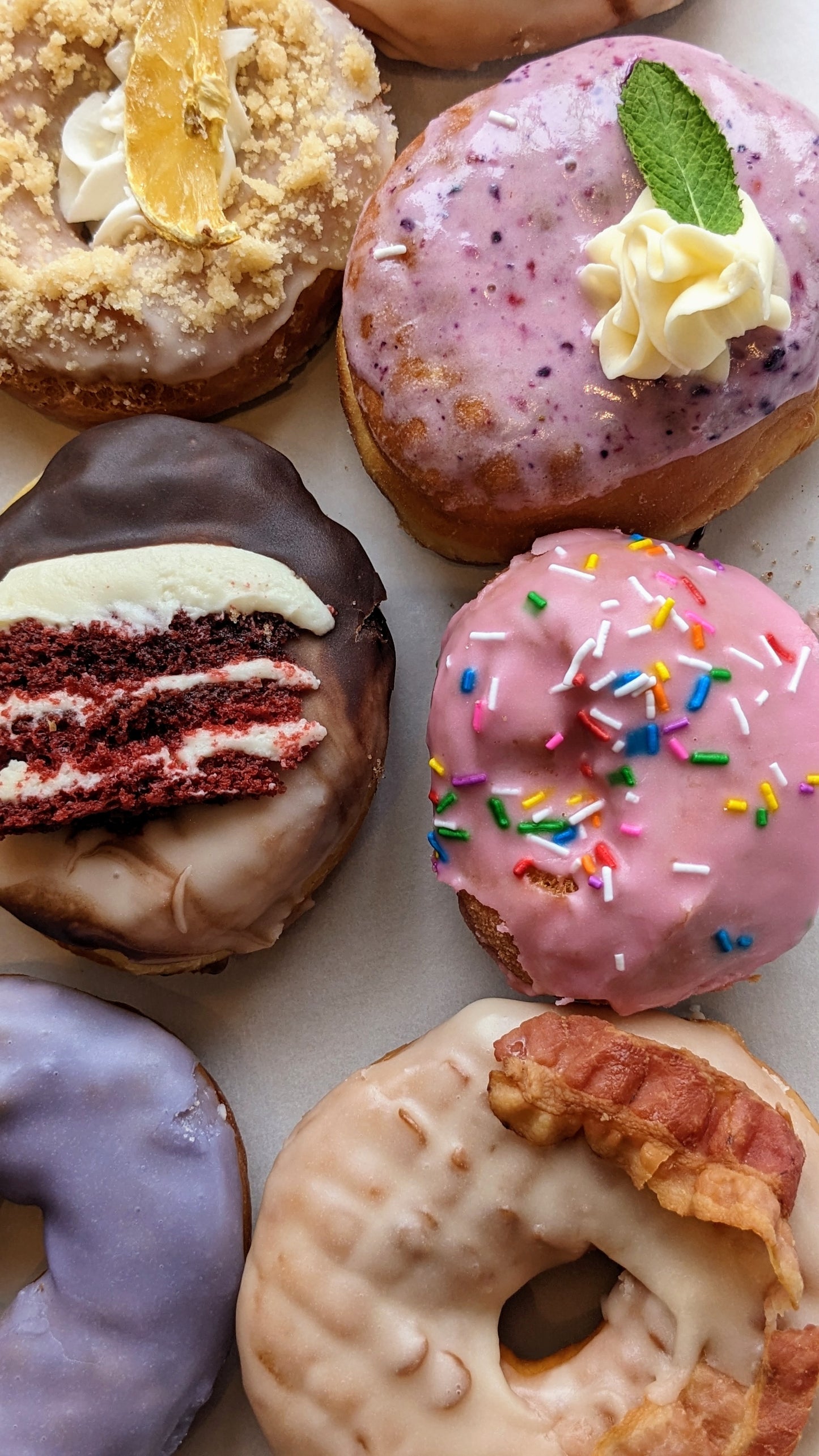 Fresh Artisan Donuts - all boxes