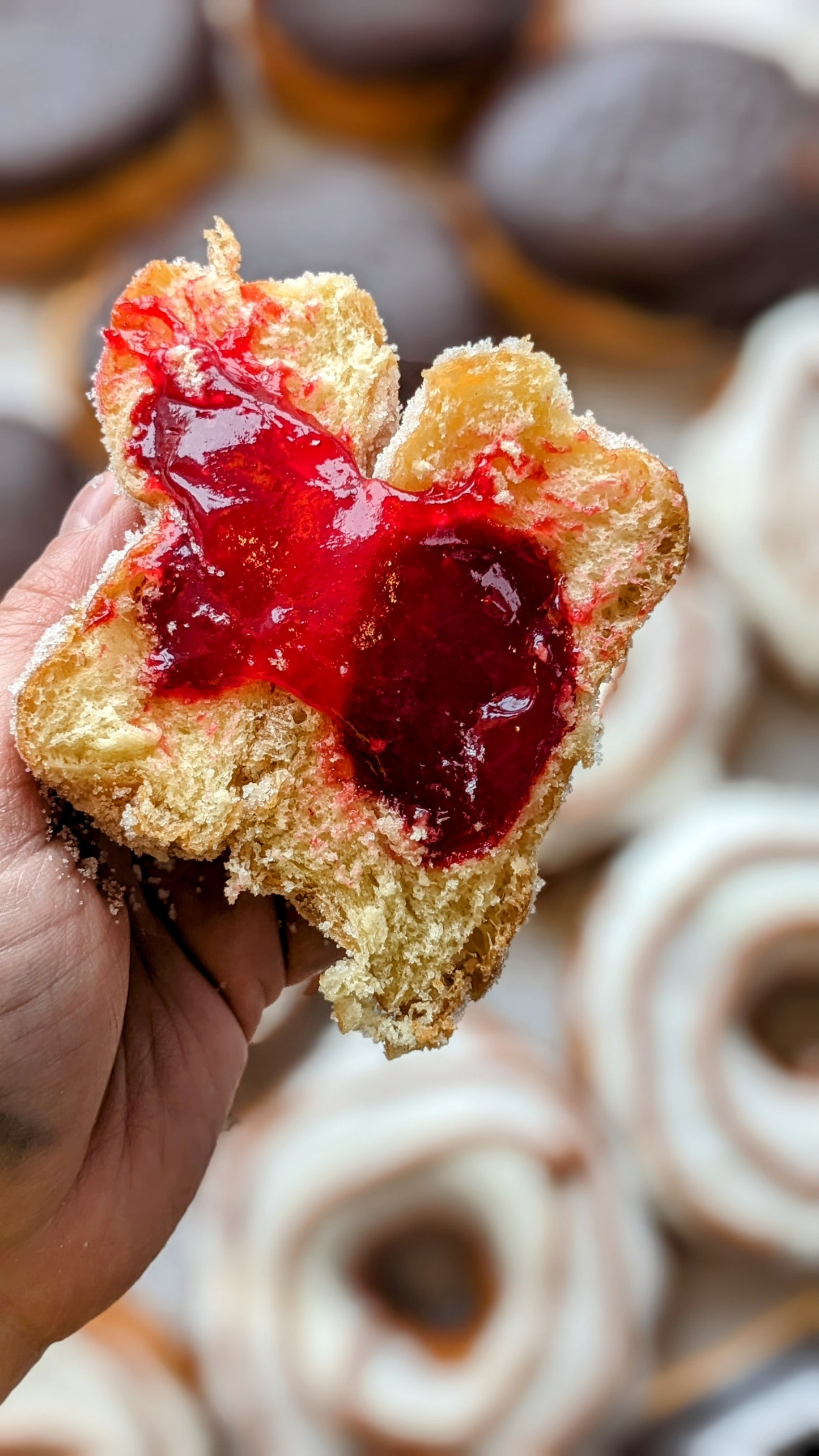 Fresh Artisan Donuts - all boxes