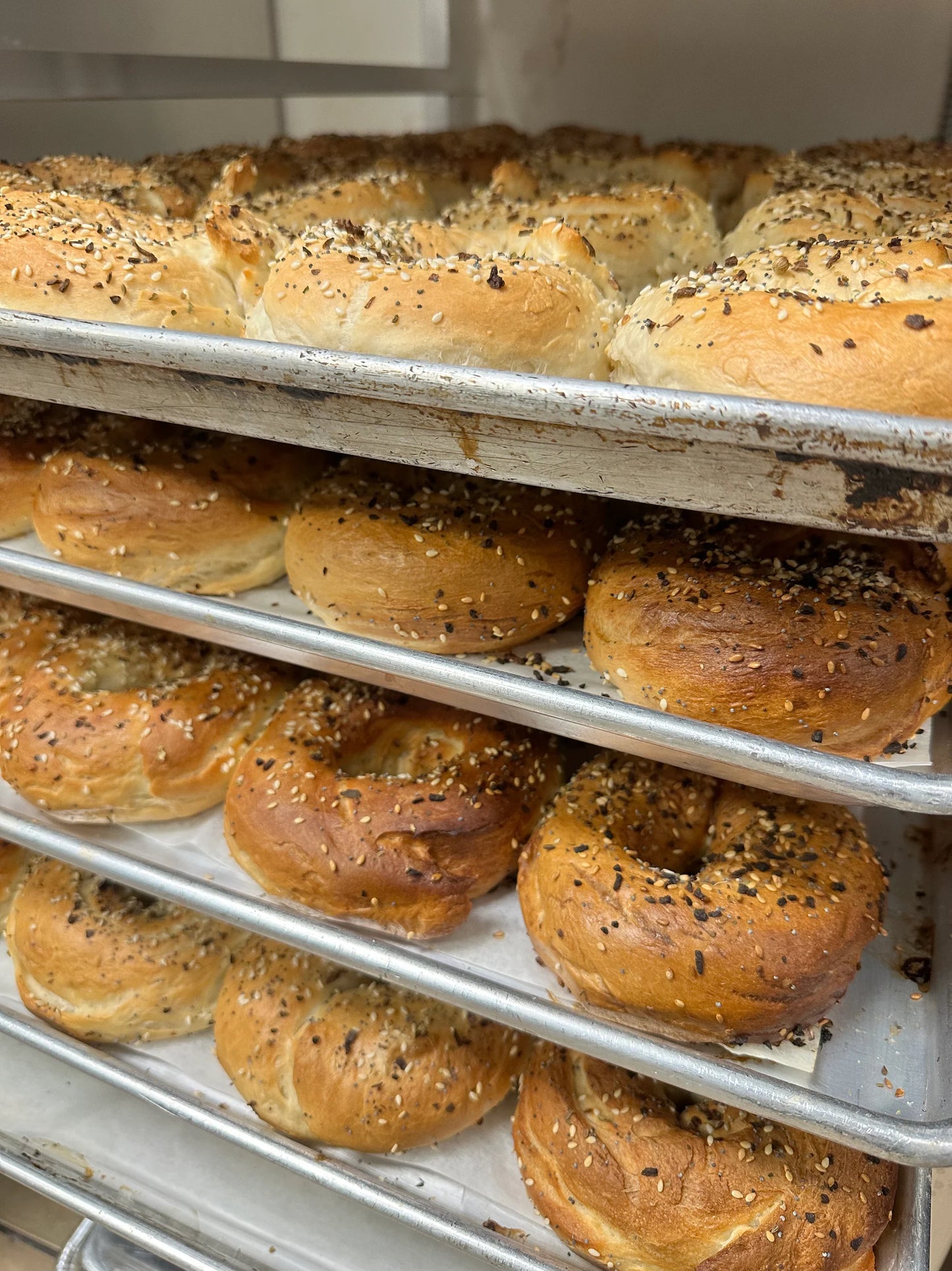 Our Style Artisan Bagels 6-packs - all flavours